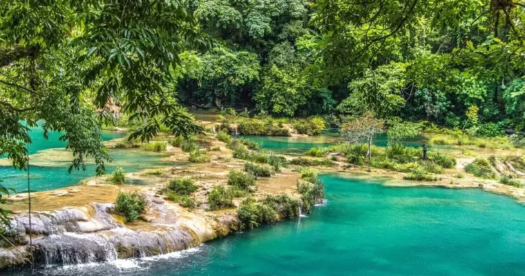Descubre la belleza natural de Semuc Champey, el Parque Nacional más impresionante de Guatemala