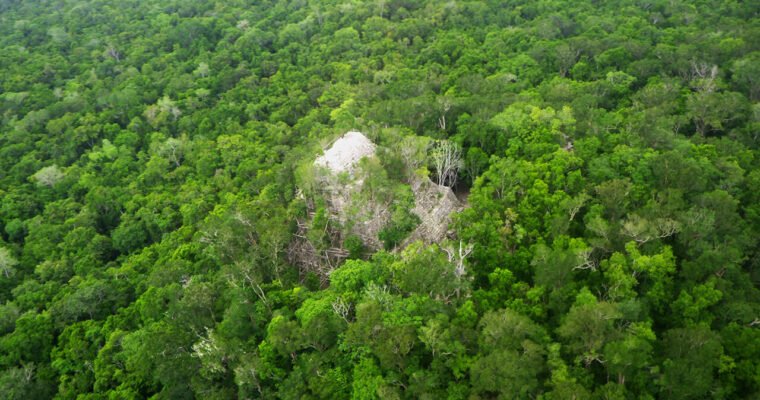 Descubre la impresionante ciudad maya El Mirador: Historia, cultura y naturaleza en un solo lugar